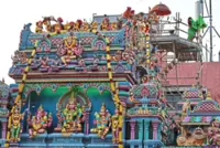 111-year-old temple holds fifth consecration ceremony 