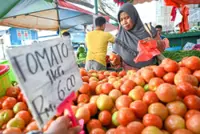 Downpour hits veggie prices