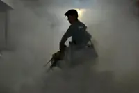 Cuba says 33 have died of mosquito-borne illnesses as epidemic rages