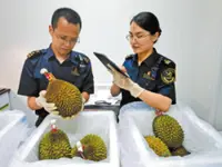 Henan–KL air cargo link boosts bilateral trade