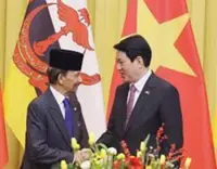 Brunei Sultan underscores strong Brunei–Vietnam ties
