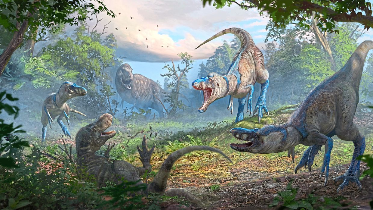 Sorry! Image not available at this time