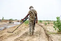 Back to broken homes