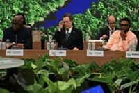 Why China is hesitant on global green leadership