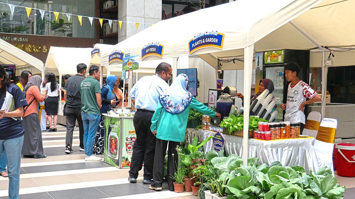 The attendees of the November Auction Carnival 2025 buying fresh plants from vendors. 
