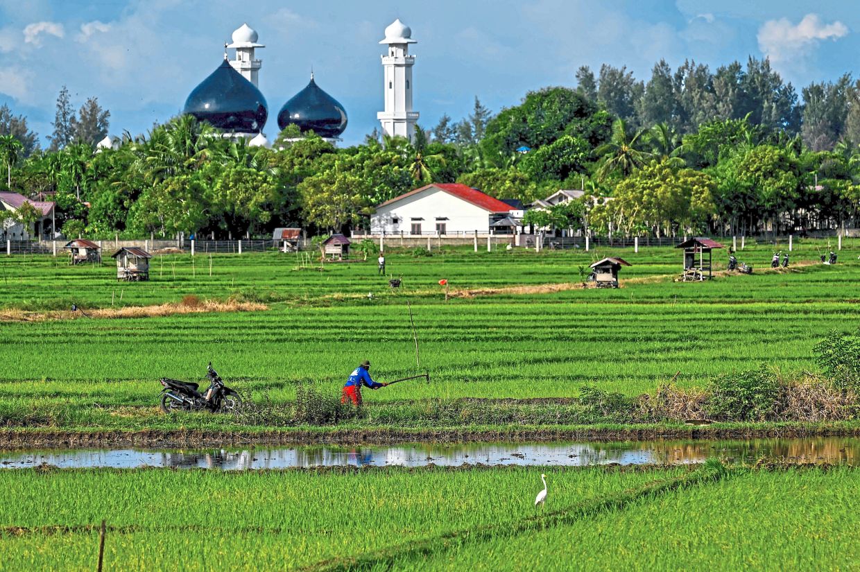 Sorry! Image not available at this time