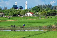 Govt calls on businesses to hire fresh graduates 