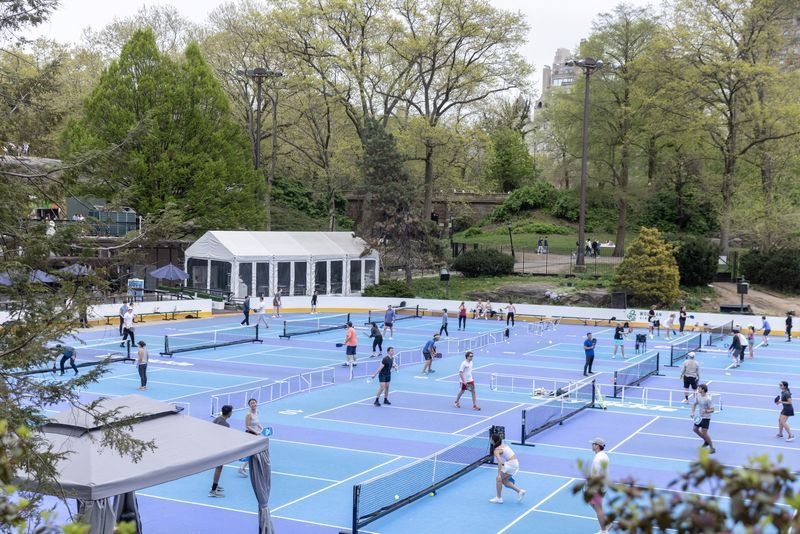 Pickleball-Owl AI to bring electronic line-calling to pro pickleball, eyes wider sporting impact