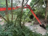 Dead tilapia in Puchong lake not linked to water quality