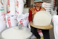 Cambodia's export of milled rice up 39 per cent in first 11 months of 2025