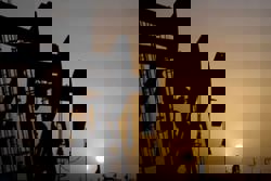 Oil prices head for 2% weekly gain as Fed hopes boost market, Venezuela tensions loom