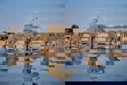 Tech tracking to tackle human-wildlife conflict in Zimbabwe