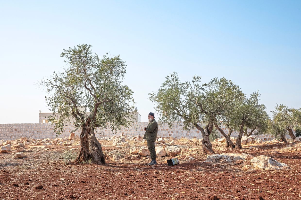 Sorry! Image not available at this time