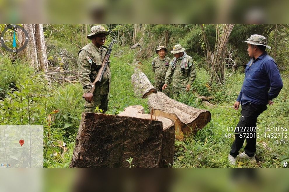 Illegal hardwood seized, illegal rubber plantations discovered in Cambodia's Kratie protected areas