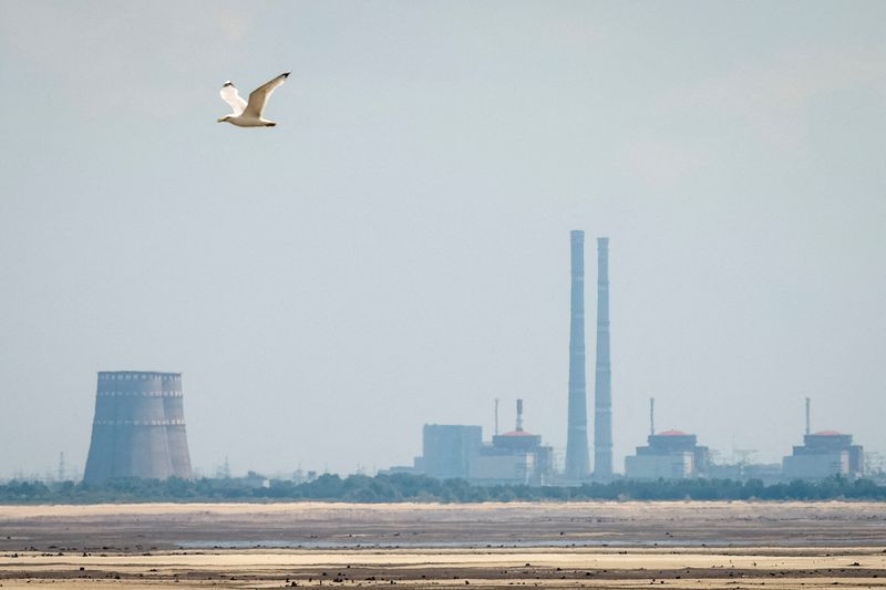 Ukraine's Zaporizhzhia nuclear plant temporarily lost power overnight, IAEA says