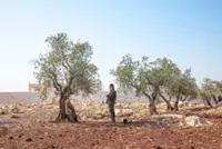 Al-Sharaa’s long road to the White House