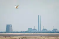 Ukraine's Zaporizhzhia nuclear plant temporarily lost power overnight, IAEA says