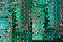 ‘Market is rotten’: Hong Kong fire exposes greedy building renovation business