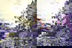 URA: Why it deserves support