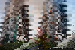 Hong Kong fire: Echoes of loss below burnt towers