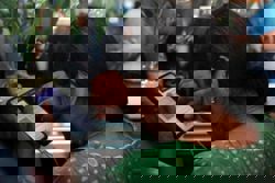 IndiGo's flight chaos spoils India's wedding parties