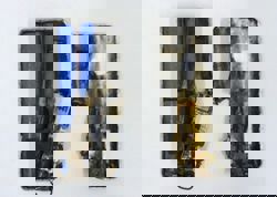 Japan researchers develop device to reduce lithium-ion battery fire risk