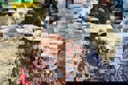 Starvation fears as flood toll passes 900 in Indonesia