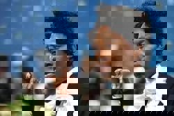 Famous US playwright and 'Emily in Paris' actor arrested in Japan for alleged drug smuggling: reports