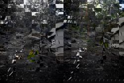 Australian authorities urge thousands to flee New South Wales bushfires