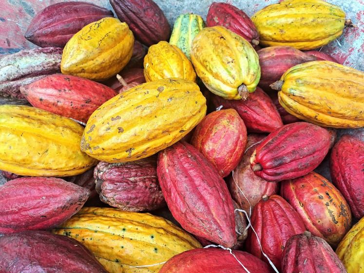 Why cacao-rich Indonesia is not (yet) a global chocolate producer