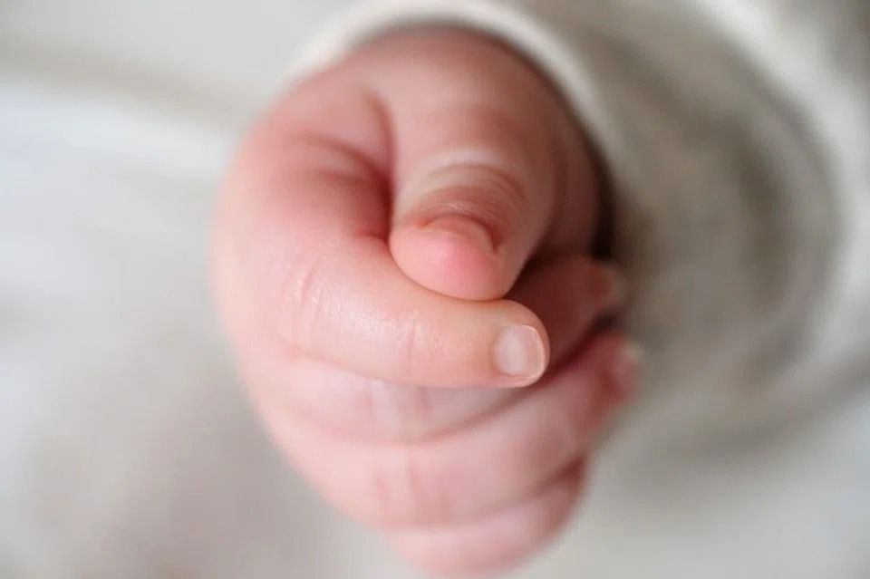 Body head and parts of baby found in freezer at Tokyo adult entertainment business