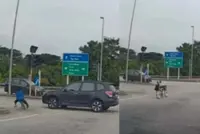 QuickCheck: Did two 'basikal lajak' teens beat a red light at a Subang Jaya intersection?