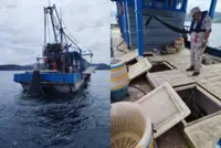 Four arrested, 800kg of illegally caught fish seized off Lahad Datu coast