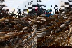 Residents climb over logs in walk to aid centre as flood deaths in Aceh rise over 900