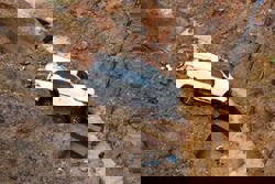 Police: negligence likely caused SUV to plunge into ravine