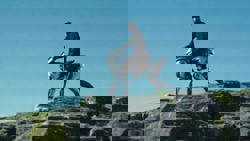 Talking robot horse to go on sale in Japan in 2035, says developer Kawasaki