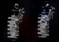 Sg Petani cops detain man who threatened neighbour with gun