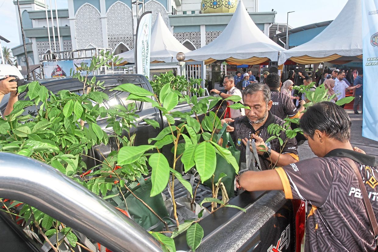 Visitors at the event get to take home plants of various species given out as door gifts. 