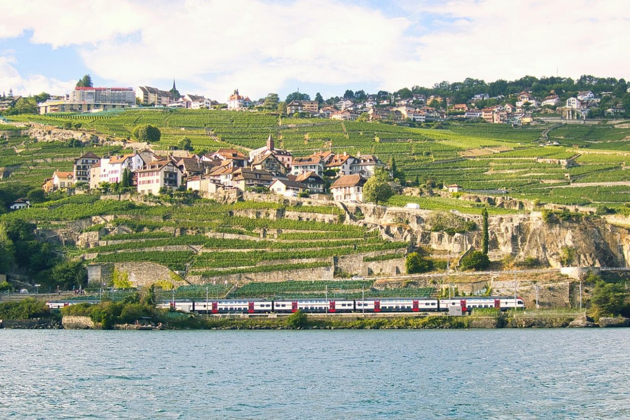 Swiss population cap proposal gets 50% backing