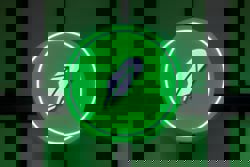 Robinhood to enter Indonesia with brokerage, crypto trader acquisition