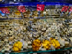 Japan oysters dying 'en masse', likely due to warmer sea: officials