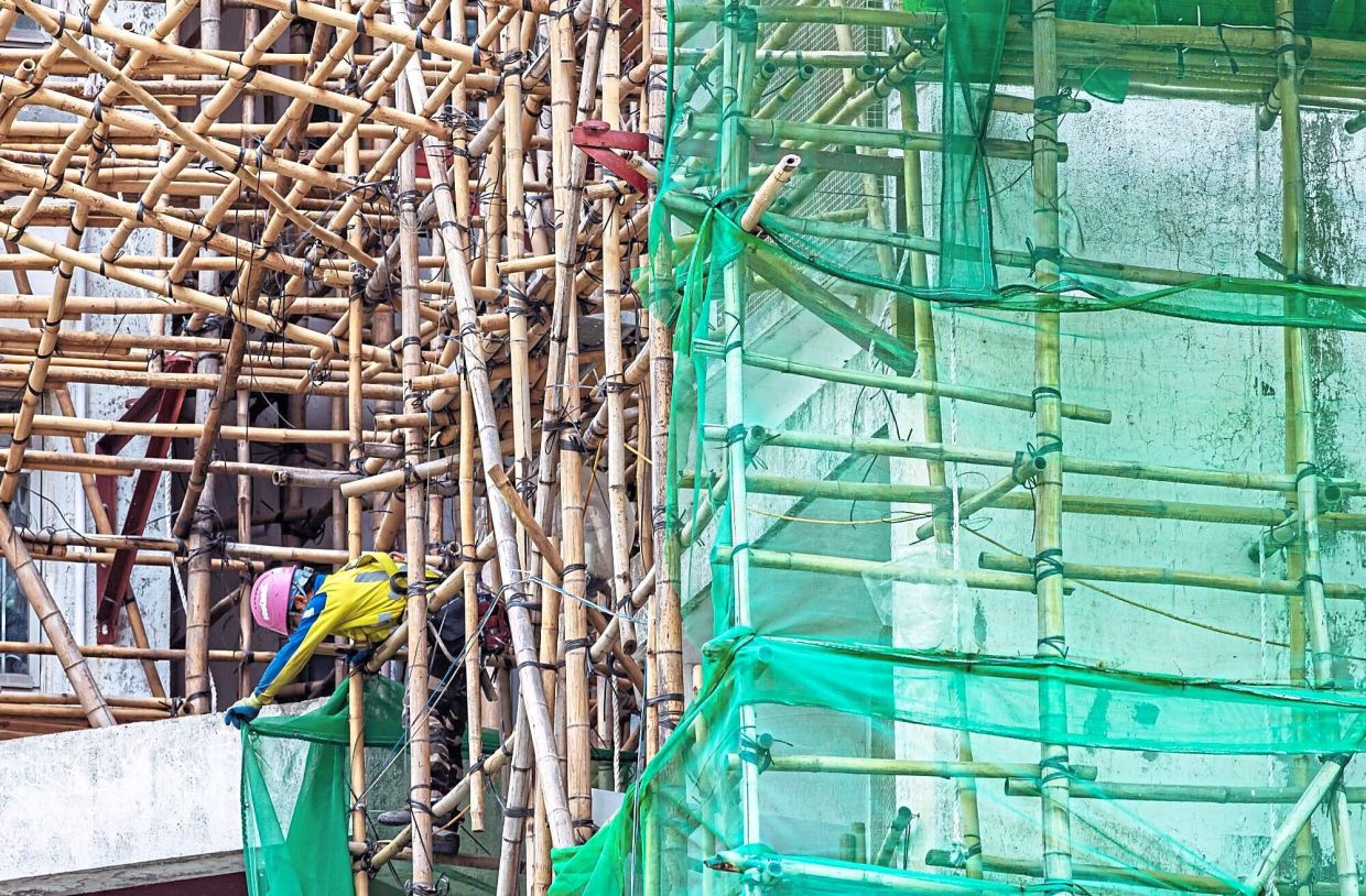 ‘Bamboo alone not to blame’