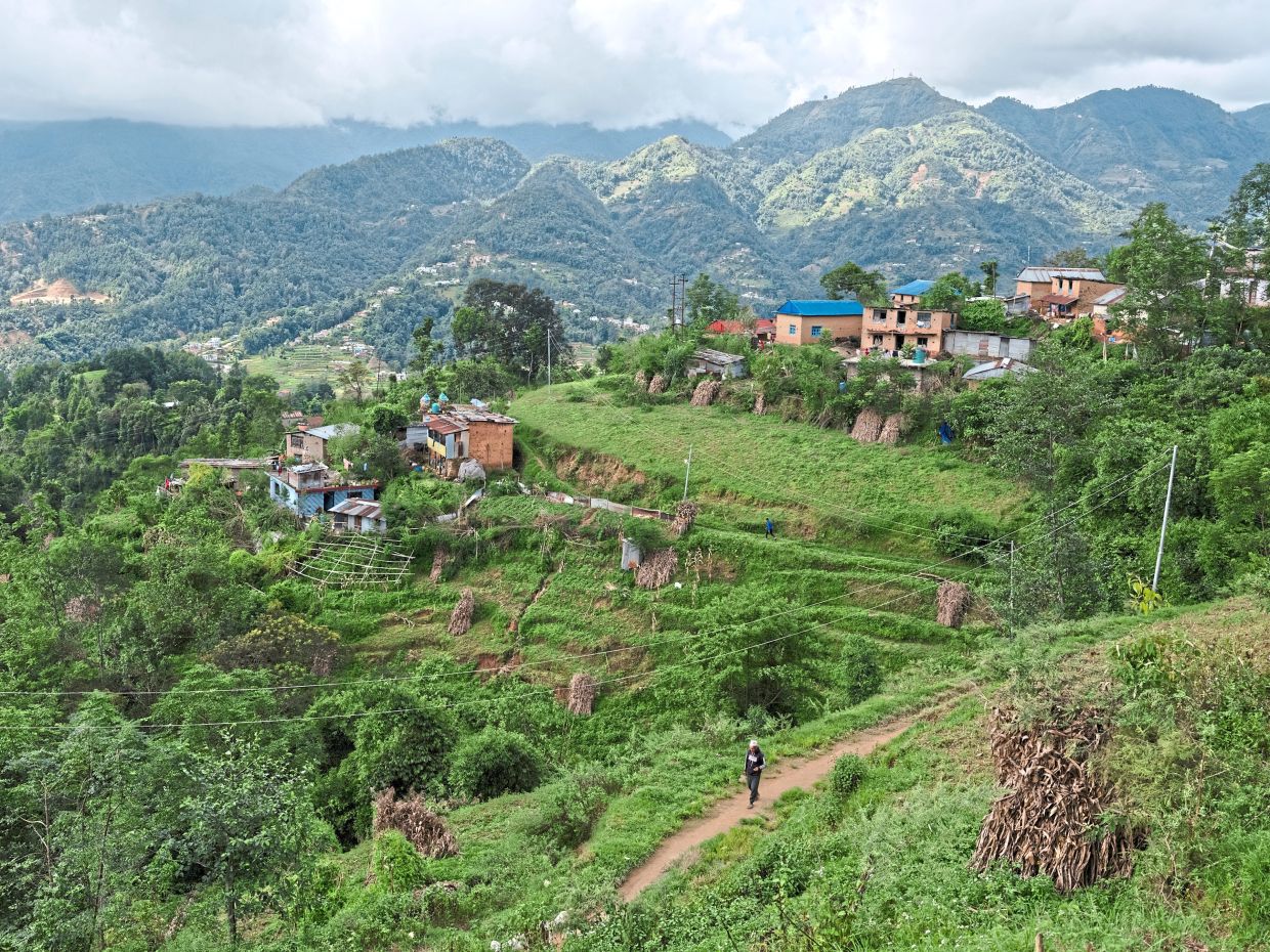 Sorry! Image not available at this time