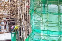 ‘Bamboo alone not to blame’