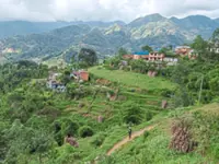 No country for young people