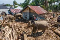 Calls grow for Indonesia to accept foreign disaster aid