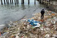 UN says world must jointly tackle issues of climate change, pollution, biodiversity and land loss