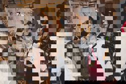 A new way to say ‘I do’? Bridal swaps bring circular fashion to weddings