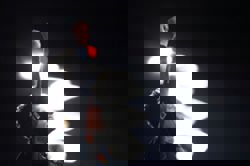 Motor racing-Like a movie in the mind: Norris paints a picture of title-winning moment