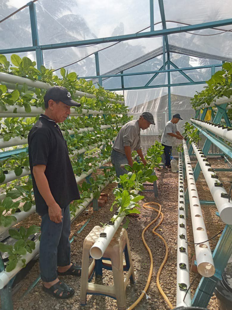Jasa Apartment residents carrying out maintenance of the hydroponic system.